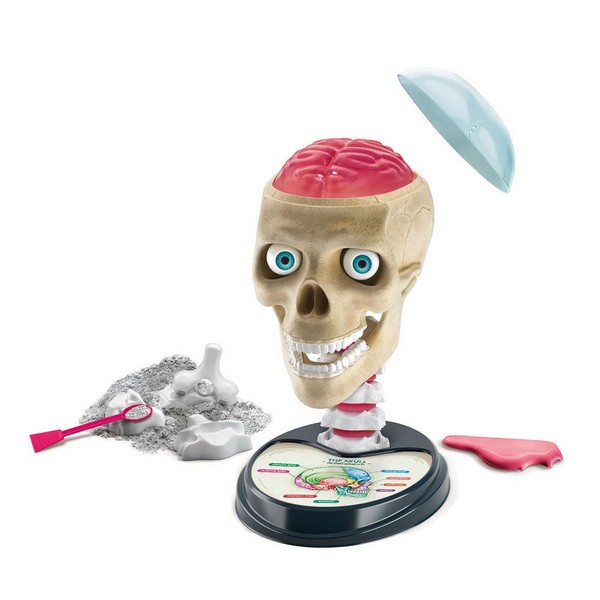 Продукт CLEMENTONI SCIENCE PLAY - Забавна анатомия  - 0 - BG Hlapeta